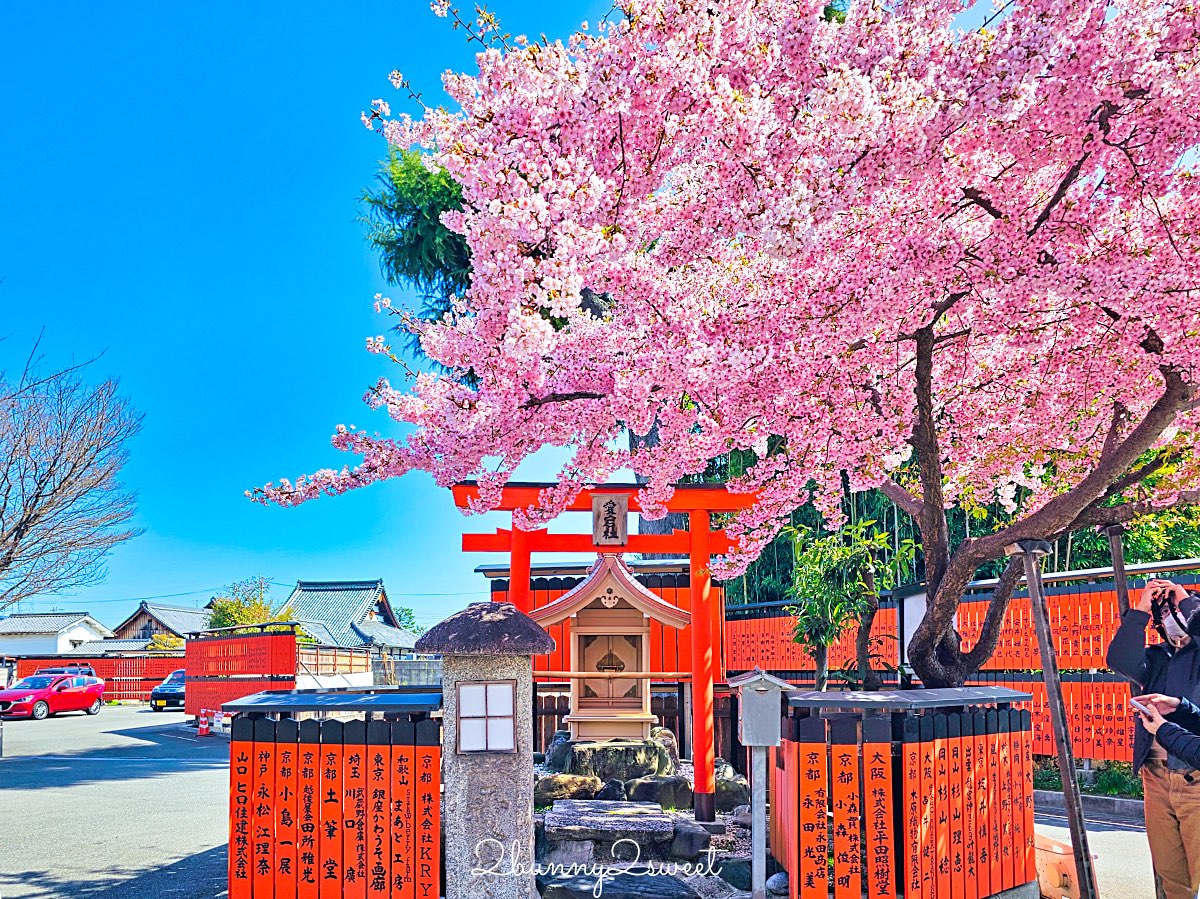 【京都車折神社】藝能神社+早櫻秘境!從二月底一路賞櫻到四月,嵐山旁必訪神社 @兔兒毛毛姊妹花 【京都車折神社】藝能神社+早櫻秘境!從二月底一路賞櫻到四月,嵐山旁必訪神社 @兔兒毛毛姊妹花