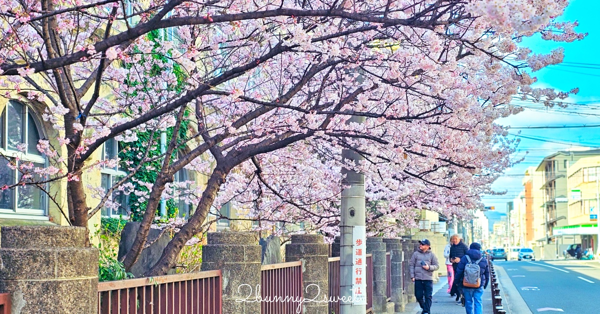 [小兔。11M+] 2天1夜宜蘭爆走行~傳藝中心追泡泡 @兔兒毛毛姊妹花