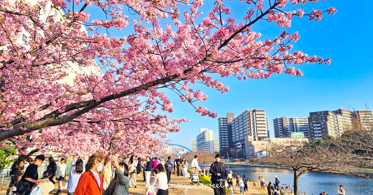  @兔兒毛毛姊妹花