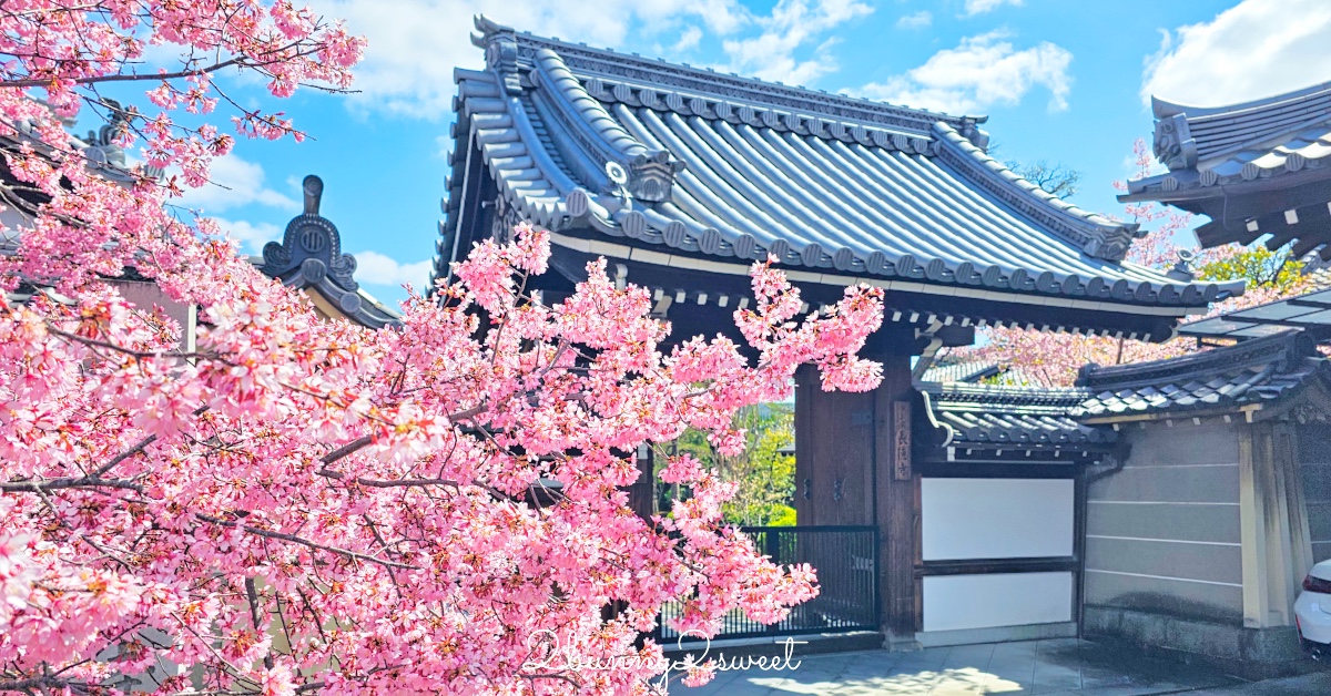 螢幕推薦》BenQ 光智慧護眼螢幕~世界第一台德國萊茵雙認證螢幕!! 低藍光、不閃屏、可高低升降調整角度，還會自動偵測環境亮度～開心線上學習不傷眼 @兔兒毛毛姊妹花