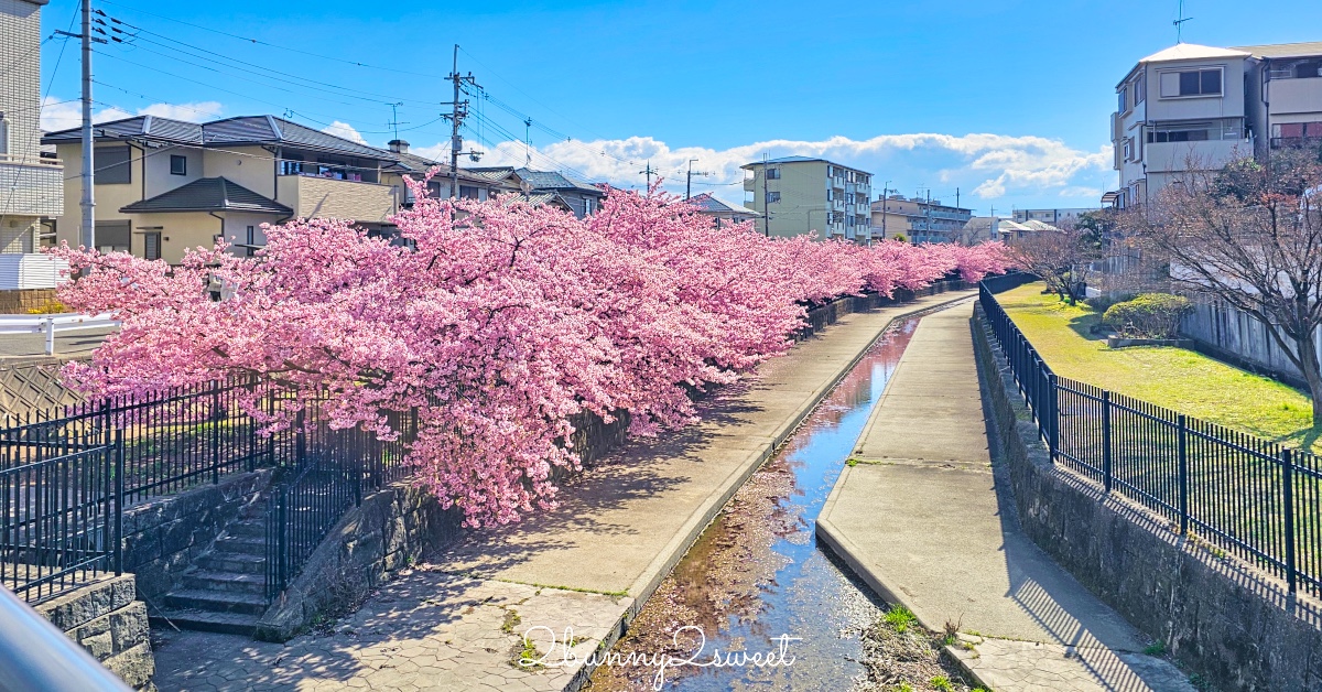 [敗家] 敗到英國去~自己買 NEXT 童裝 @兔兒毛毛姊妹花