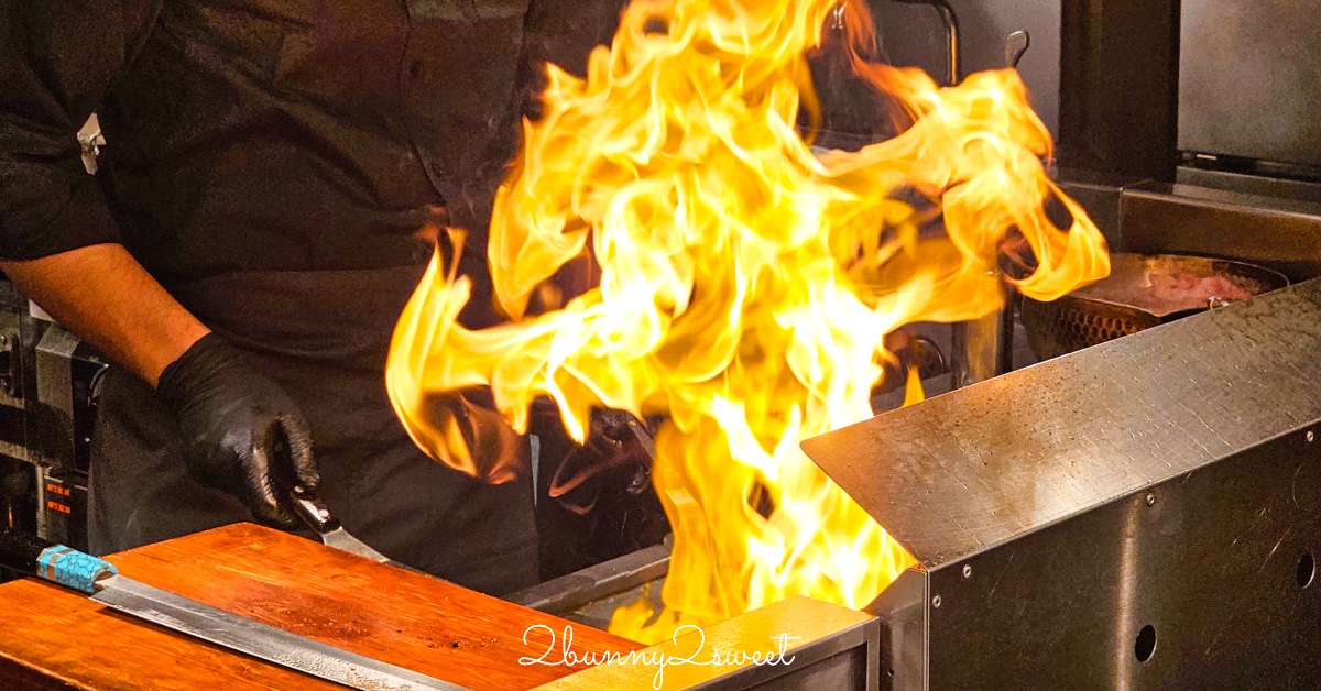 [2015。新馬|親子|自助]『新加坡動物園』(下)～不只是最棒的雨林動物園，還是超好玩的遊樂園!!! @兔兒毛毛姊妹花