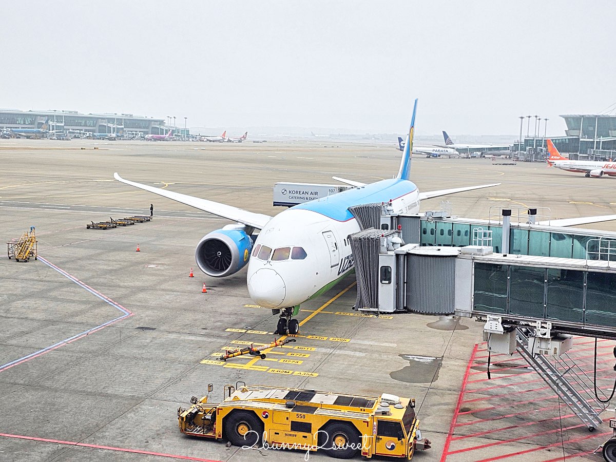 【烏茲別克航空 Uzbekistan Airways】台灣飛烏茲別克航班攻略＋首爾飛塔什干開箱＋國內線實測 @兔兒毛毛姊妹花