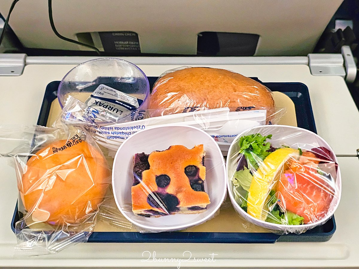 【烏茲別克航空 Uzbekistan Airways】台灣飛烏茲別克航班攻略＋首爾飛塔什干開箱＋國內線實測 @兔兒毛毛姊妹花