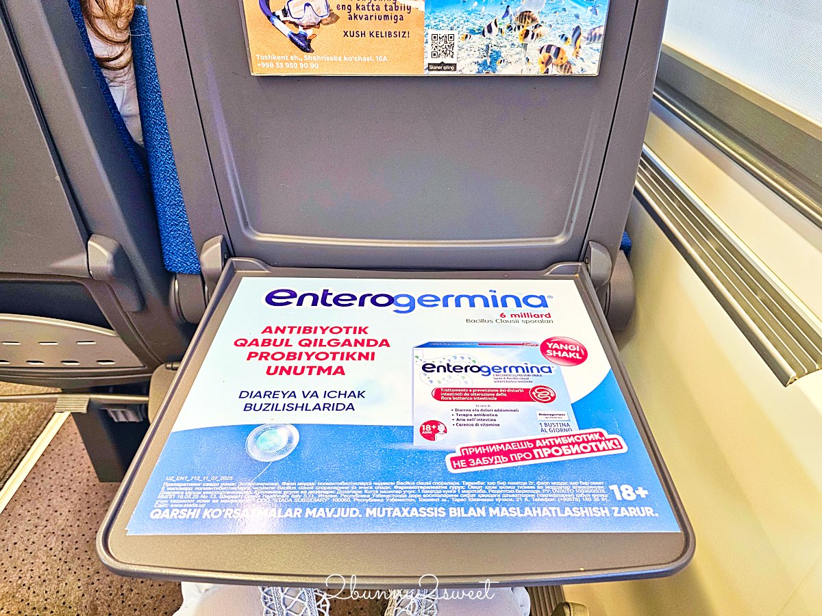 【2026烏茲別克高鐵 Afrosiyob 攻略】最新票價、App 搶票秘訣，塔什干到撒馬爾罕只要 2 小時！ @兔兒毛毛姊妹花