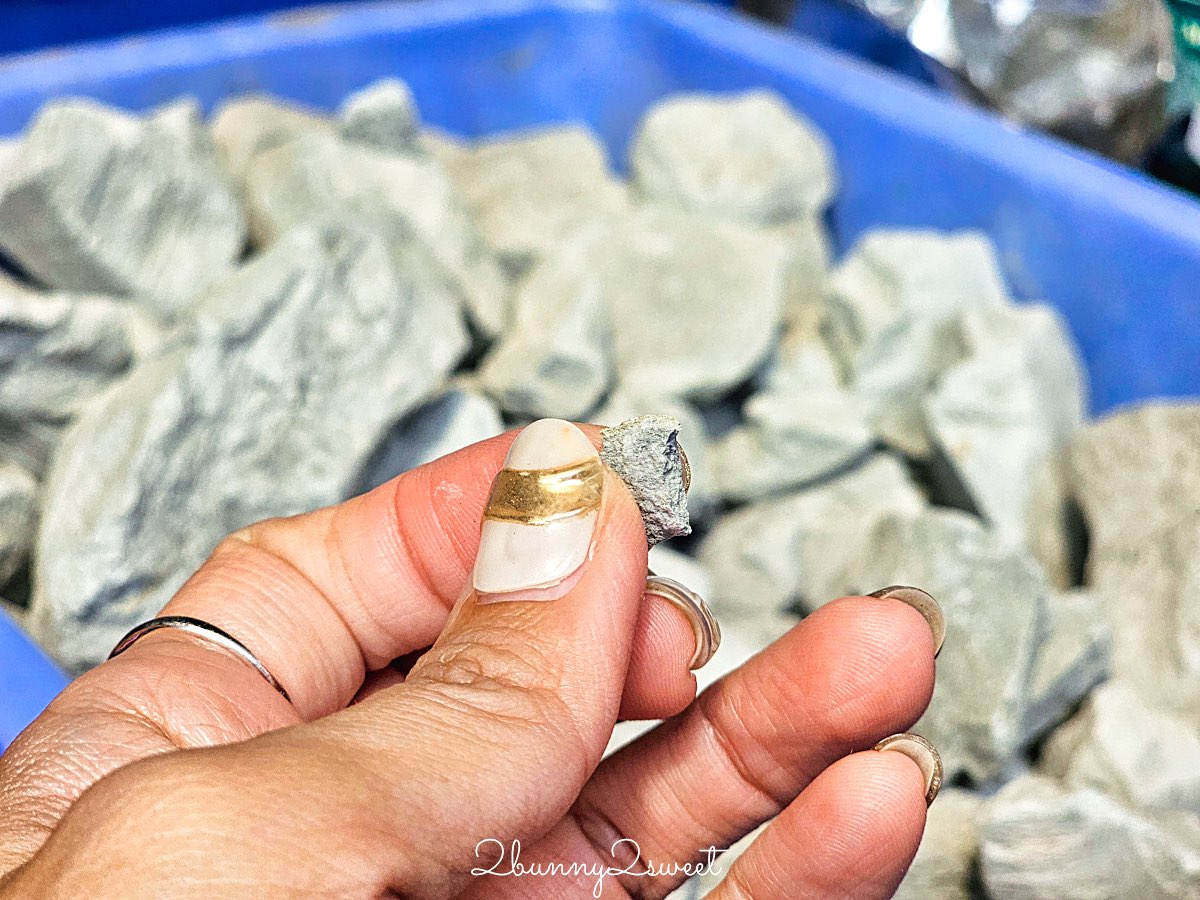 【Chorsu Bazaar 楚蘇市場】塔什干藍色穹頂市場必逛攻略：果乾比價、窯烤麵包與在地市集一次看 @兔兒毛毛姊妹花