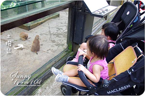 [新竹。親子景點] 餵食可愛動物初體驗@綠世界生態農場 @兔兒毛毛姊妹花