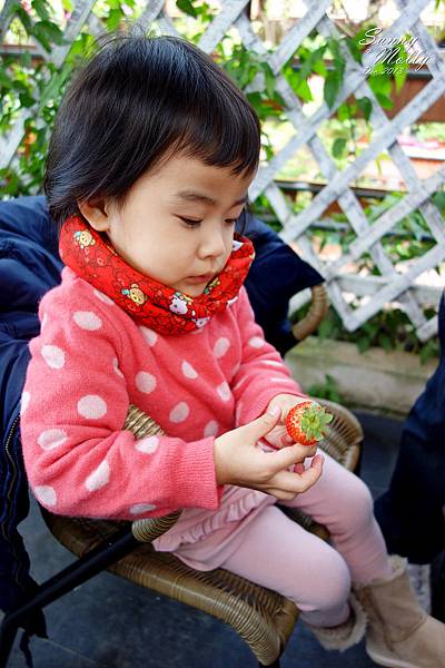 [親子遊。台北] 擴邦麵包早餐+內湖『莓圃』採草莓攻略 @兔兒毛毛姊妹花
