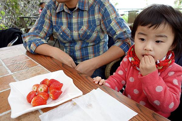 [親子遊。台北] 擴邦麵包早餐+內湖『莓圃』採草莓攻略 @兔兒毛毛姊妹花
