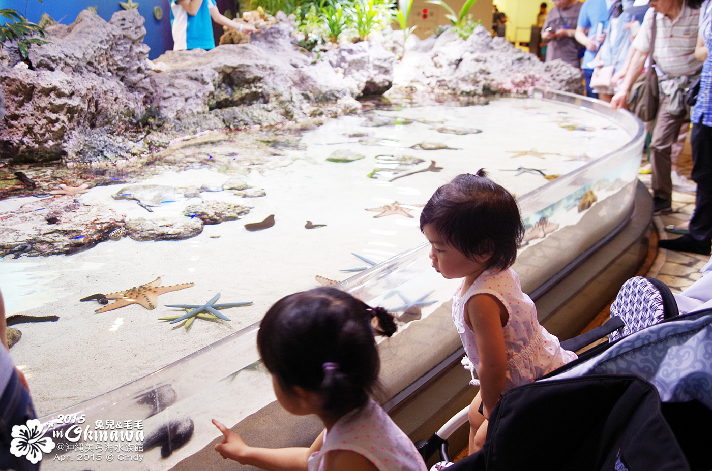 [2015。沖繩|親子|自駕] 在『沖縄美ら海水族館』和魚兒一起吃午茶，『海洋博公園』免費海豚秀～ @兔兒毛毛姊妹花