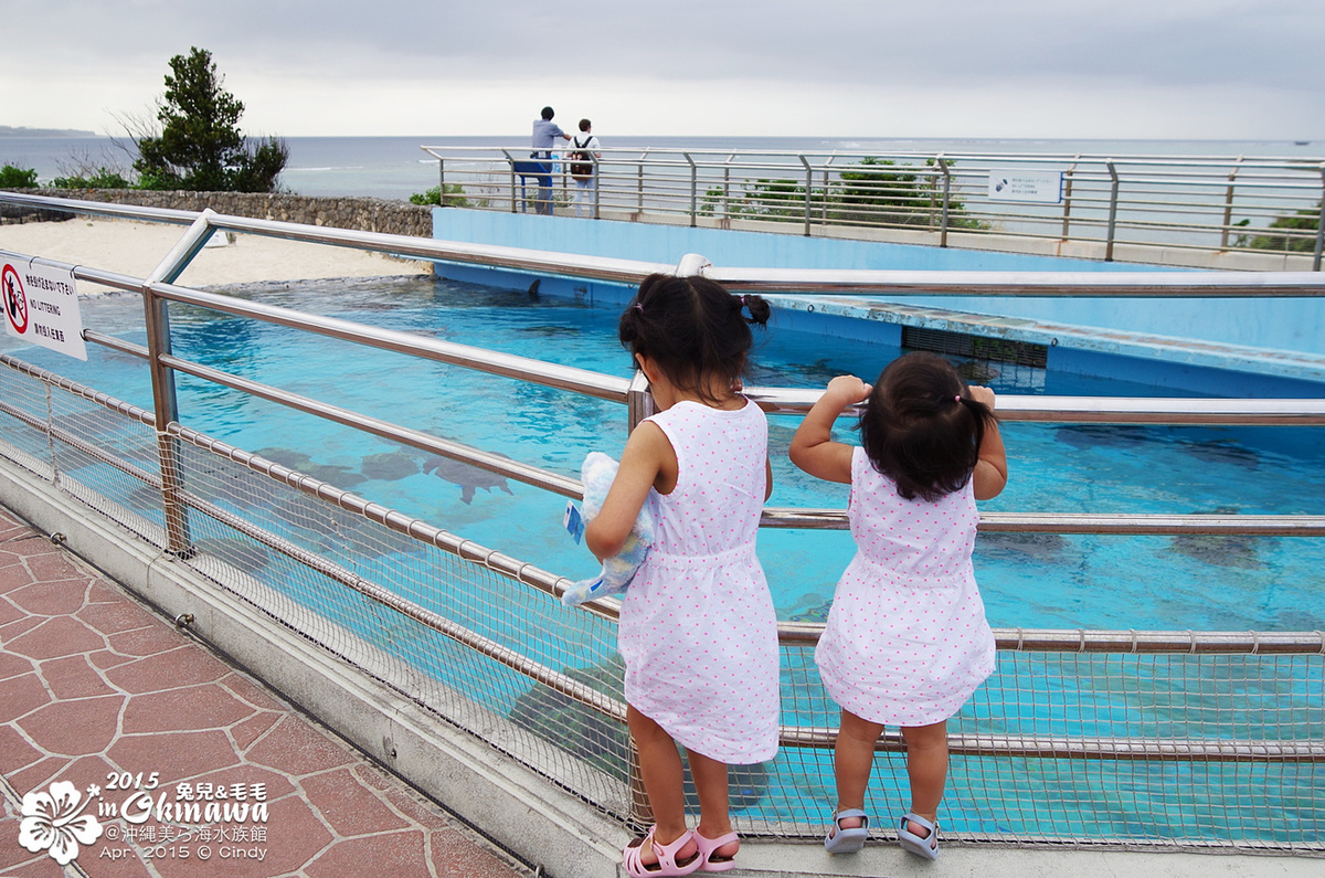 [2015。沖繩|親子|自駕] 在『沖縄美ら海水族館』和魚兒一起吃午茶，『海洋博公園』免費海豚秀～ @兔兒毛毛姊妹花