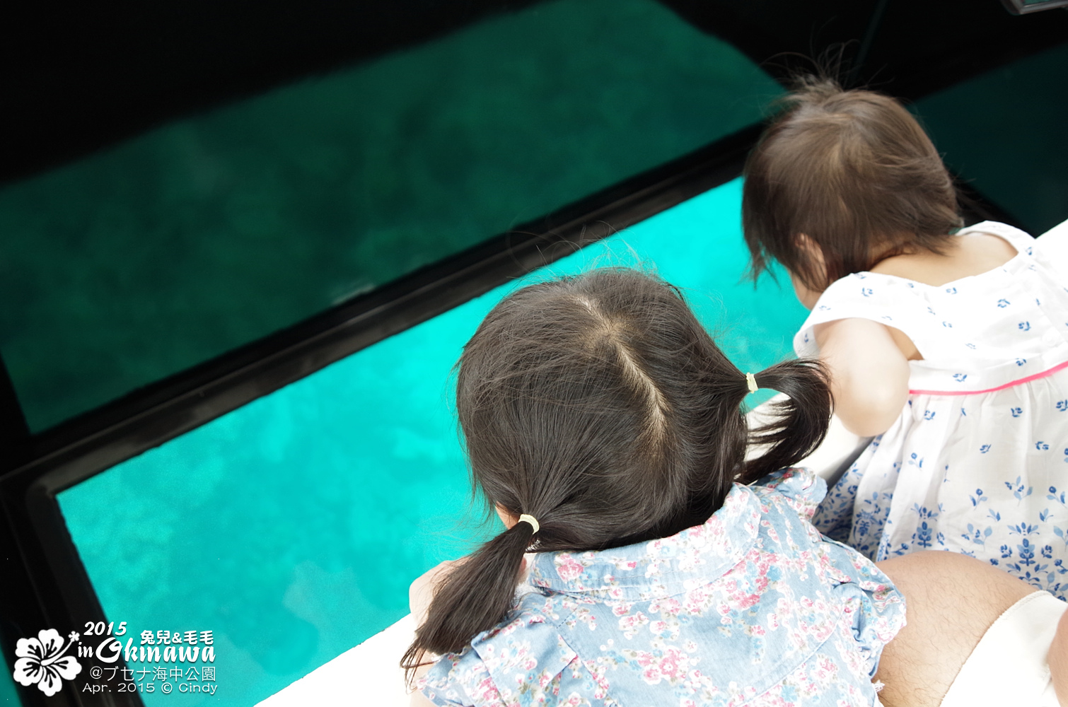 [2015。沖繩|親子|自駕] 搭乘玻璃船&#038;走入海中展望塔看魚去＠部瀨名海中公園ブセナ海中公園 @兔兒毛毛姊妹花