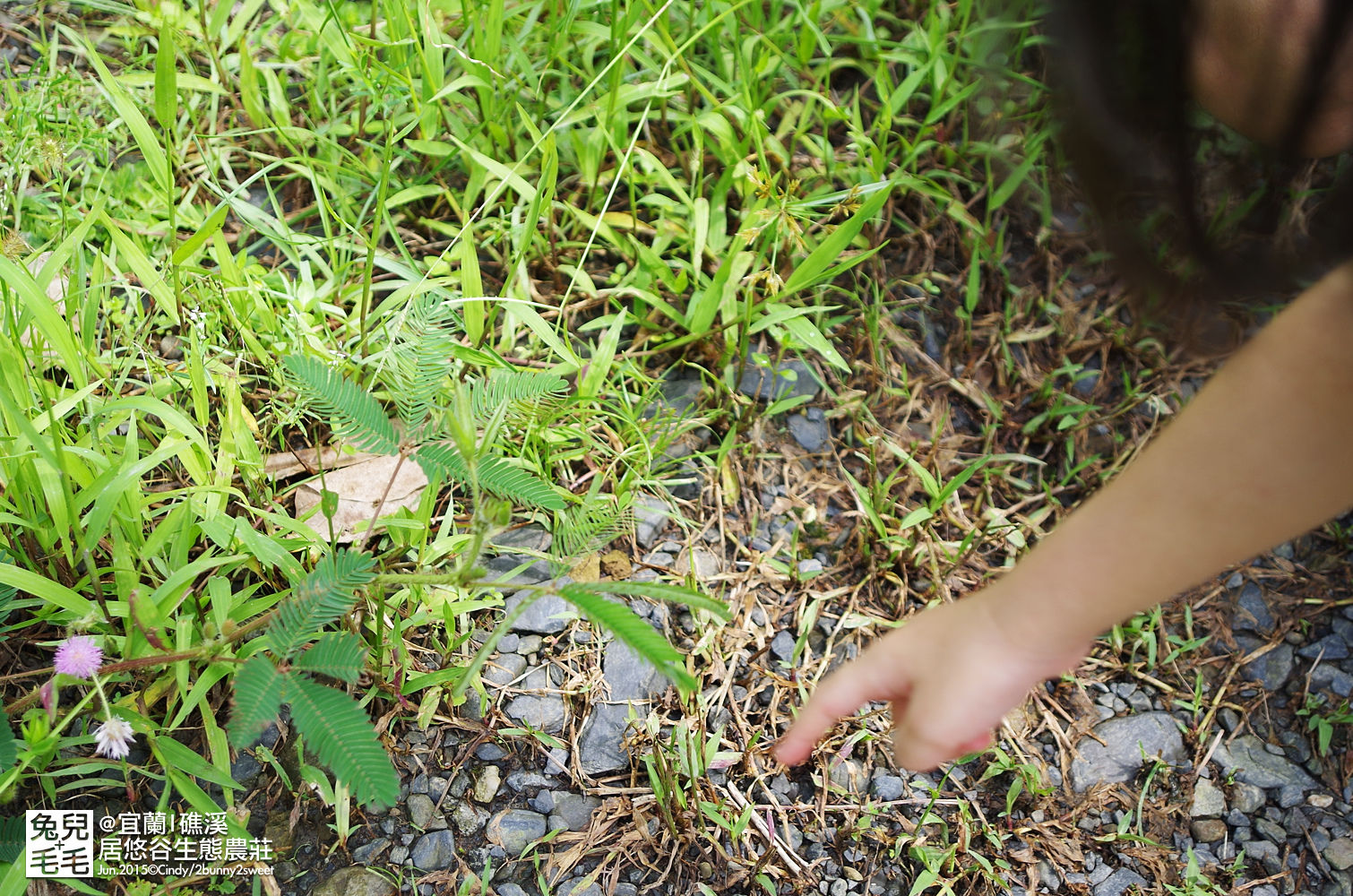[宜蘭。民宿] 生態導覽、小礁溪戲水～好貼近大自然的『居悠谷生態農莊』～4-6月可以看到螢火蟲喲!! @兔兒毛毛姊妹花