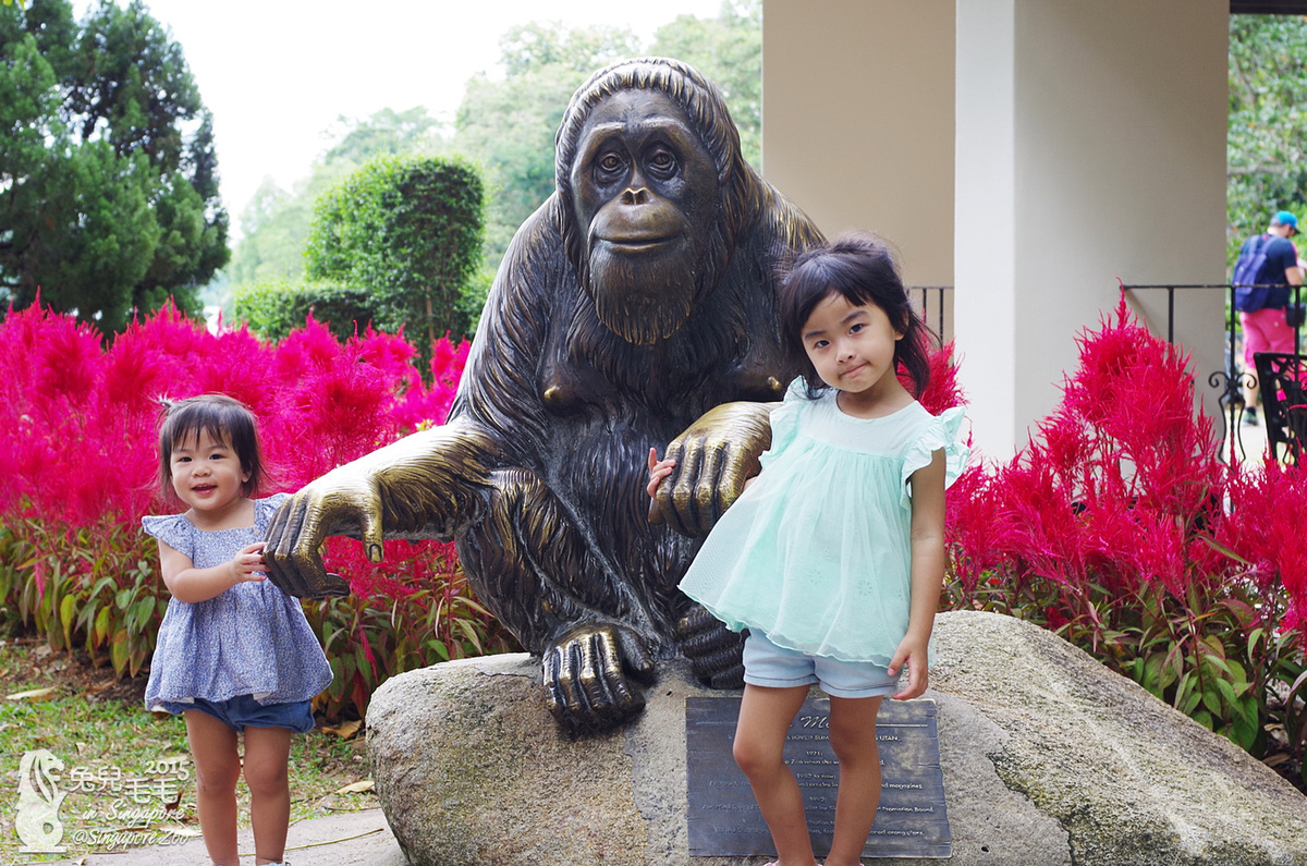 [2015。新馬|親子|自助]『新加坡動物園』(下)～不只是最棒的雨林動物園，還是超好玩的遊樂園!!! @兔兒毛毛姊妹花