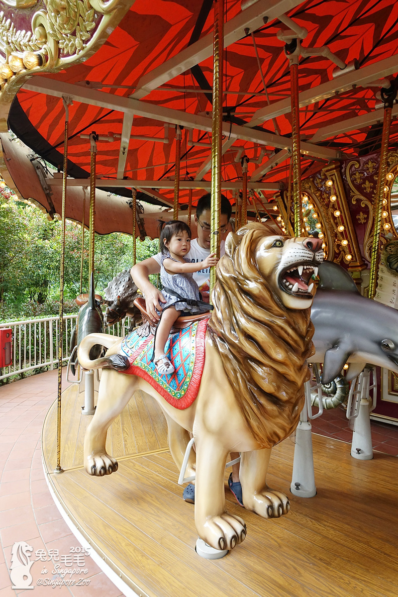 [2015。新馬|親子|自助]『新加坡動物園』(下)～不只是最棒的雨林動物園，還是超好玩的遊樂園!!! @兔兒毛毛姊妹花