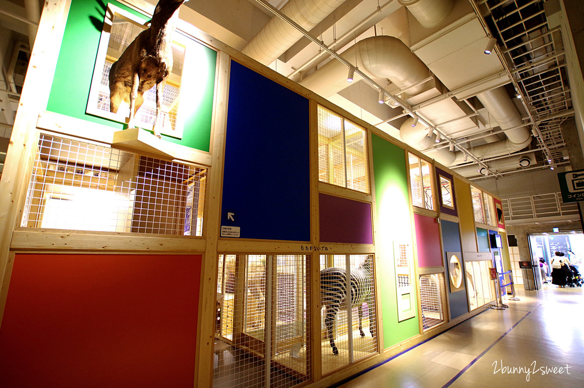 東京親子景點》國立科學博物館～東京上野公園必遊景點，不只有科學展示還有森林動物兒童遊戲室 @兔兒毛毛姊妹花