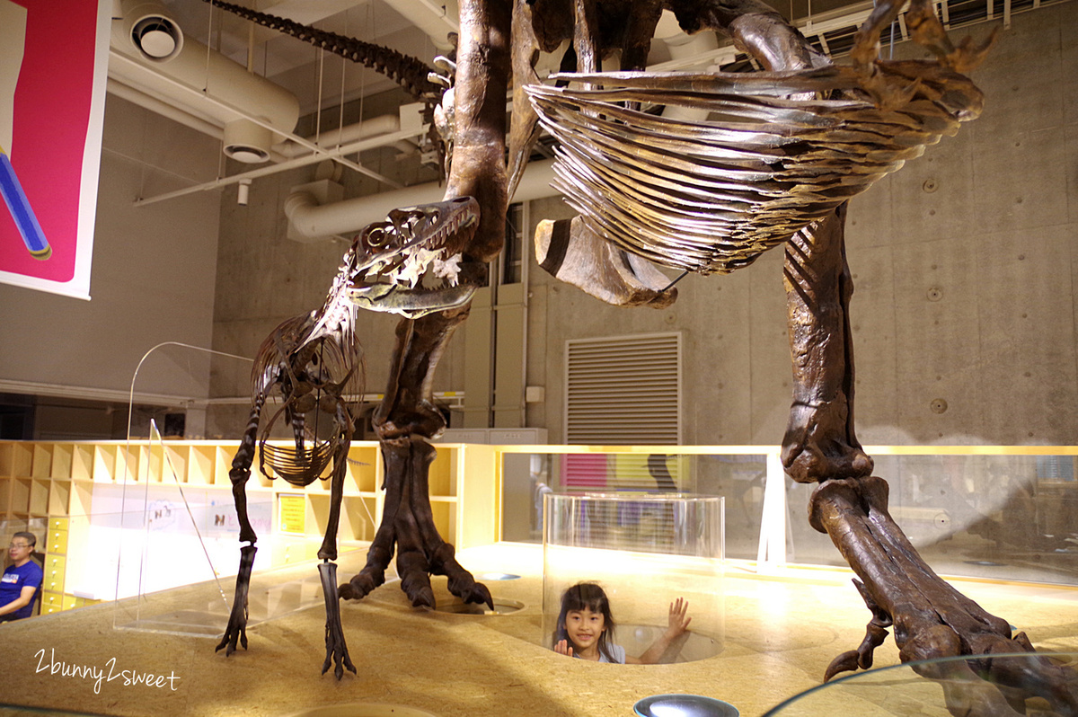 東京親子景點》國立科學博物館～東京上野公園必遊景點，不只有科學展示還有森林動物兒童遊戲室 @兔兒毛毛姊妹花