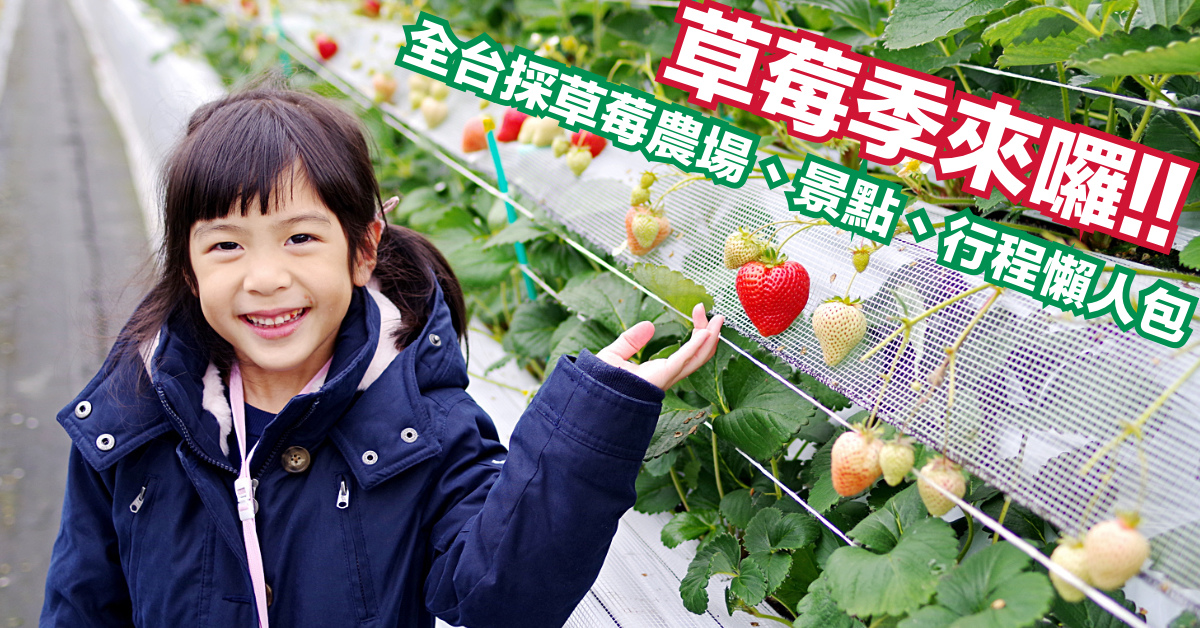 [親子旅遊。懶人包] 草莓季來囉!! 臺北、新竹、苗栗、台中、台東自採草莓農場、景點、行程推薦 @兔兒毛毛姊妹花
