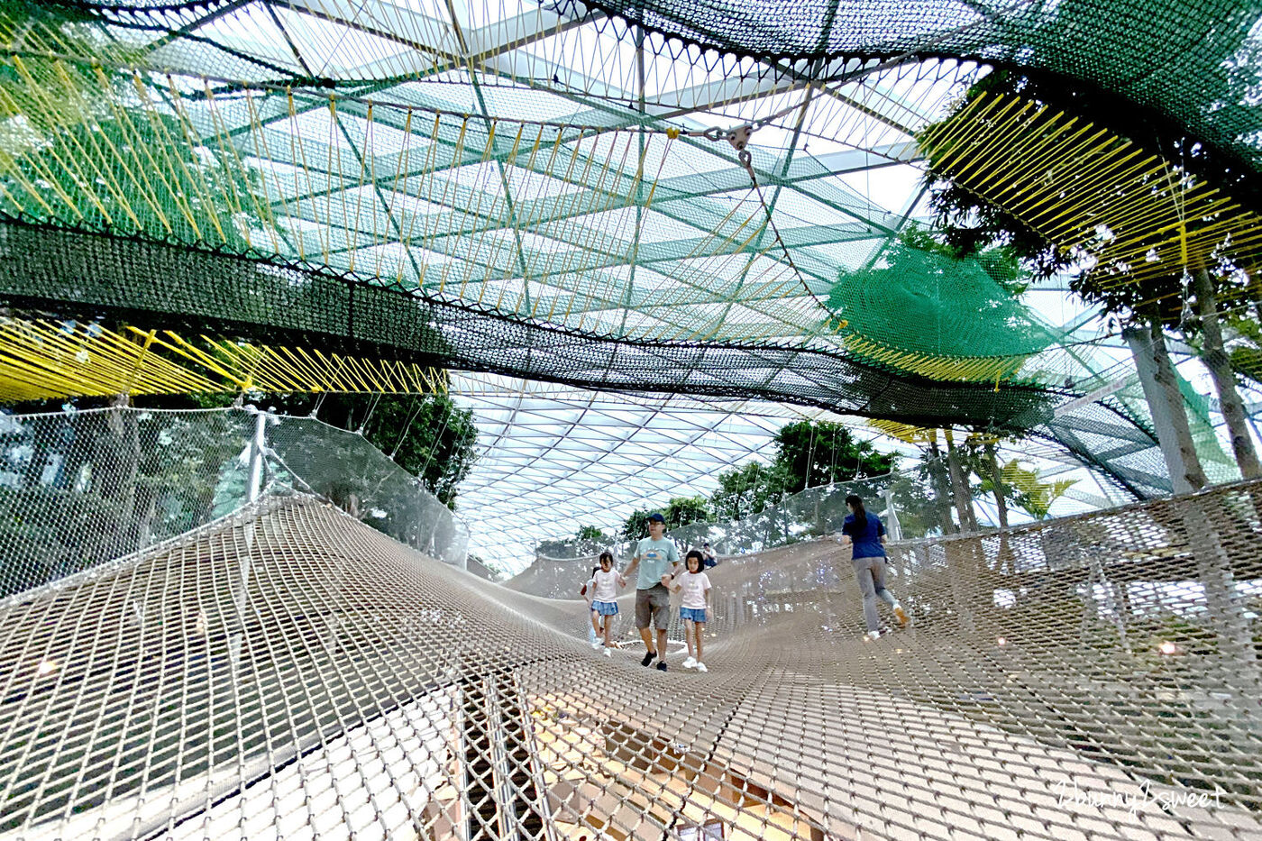 新加坡景點》星耀樟宜～五樓星空花園 Canopy Park 詳盡玩樂攻略｜新加坡室內景點 @兔兒毛毛姊妹花