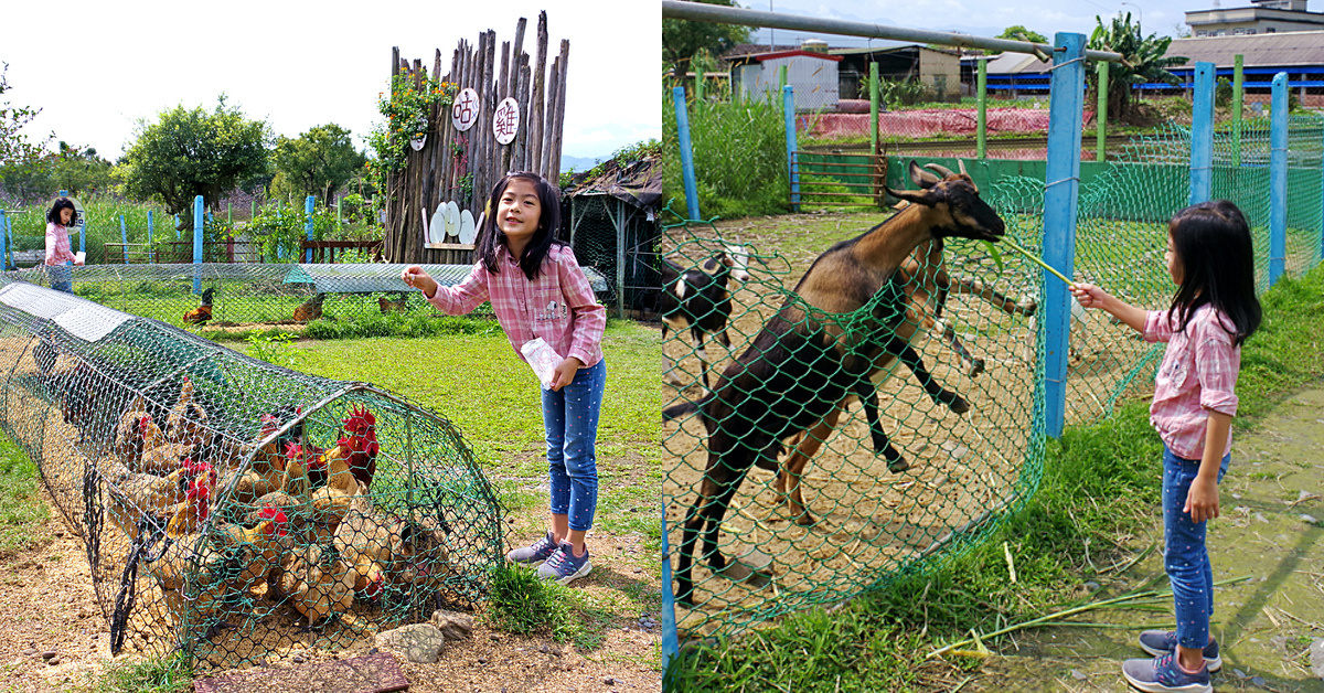 宜蘭景點【宜蘭動物農場】超過20個宜蘭餵動物好地方，來和可愛動物親密互動吧～ @兔兒毛毛姊妹花