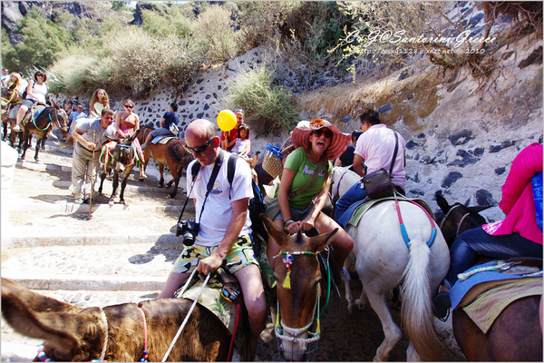 [2010 Greece] 。第二十四章。驢子計程車帶我上山去 @兔兒毛毛姊妹花