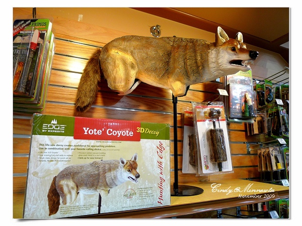 [2009 Minnesota] 打獵季節~Cabela’s 獵具店賣什麼?? @兔兒毛毛姊妹花