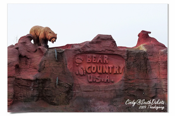 [2009 South Dakota] 感恩狂飆之旅(八)~熊出沒。Bear Country @兔兒毛毛姊妹花