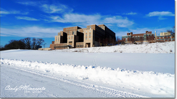 [2010 Minnesota] 溫暖陽光下的午後散步~U of M @兔兒毛毛姊妹花