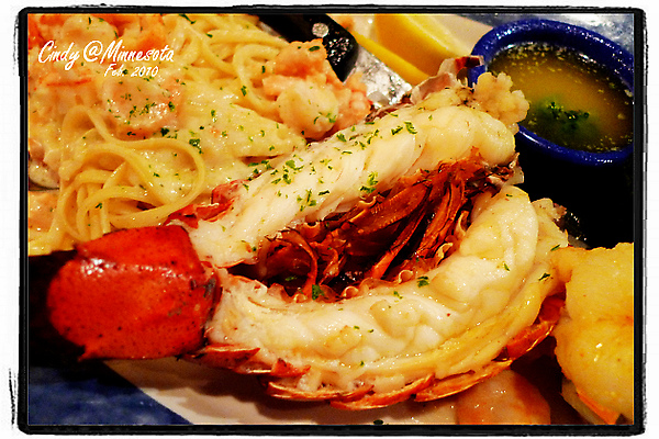 [EAT@TwinCity] 不靠海也可以常常吃到龍蝦~Red Lobster @兔兒毛毛姊妹花