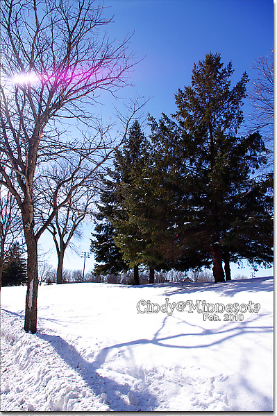 [2010 Minnesota] 冬日のComo Park (Pentax k-x試拍) @兔兒毛毛姊妹花