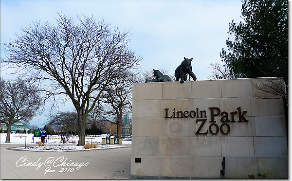 [2010 Chicago] 冬眠中的林肯公園動物園 @兔兒毛毛姊妹花